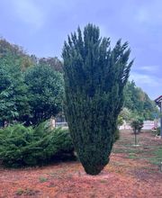 Par-Terre & Jardin image 4