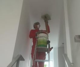 218992246-2-o1PxC6msTq1773391762550.jpeg