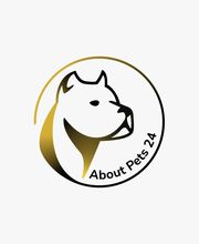AboutPets24 Bild 1
