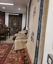 Gallery Professionale