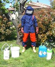 Stop Guêpes & Frelons image 12