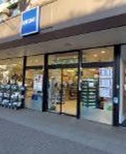 budni - Weiße Rose Bild 1