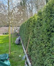 Daily Gartenpflege Bild 8