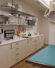 VET.AVENIR - Cabinet vétérinaire Bild 8