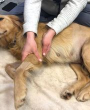 West Park Animal Hospital image 16