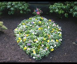 Grabpflege Küsters-Schlangen GmbH Bild 2