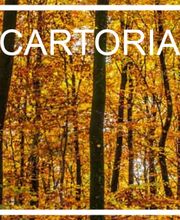 logo-CARTORIA.png