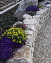Michael Hobauer GmbH Garten- und Landschaftsbau Bild 8