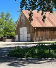 Jacobs Berry Farm image 9