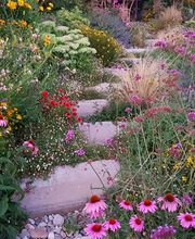 Luca Antonini Giardinieri Paesaggisti Bild 1