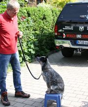 MenschUndHundZentrum Bild 45