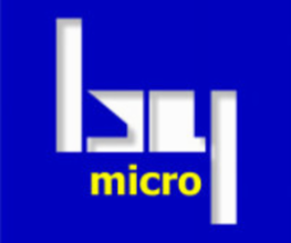 By Micro image 1