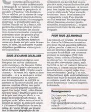 Pension de la Terre du Milieu image 9