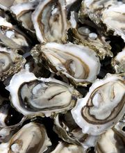 ERMA S.R.L. immagine 2