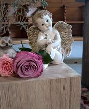 aurora das andere Bestattungsunternehmen Biel-Seeland Bild 2