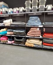 Tom&Co Lens image 11