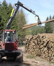 Services Bois et Forêts image 4