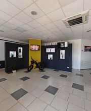 Gallery Cliente