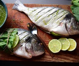 Zwei frische Fische werden mit Limettenscheiben und grünen Blättern kunstvoll angerichtet. Die Komposition betont natürliche Zutaten, kräftige Farben und handwerkliche Zubereitung.