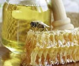 Abeille De Ré image 18