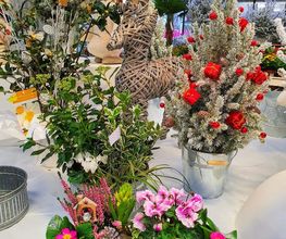 Rambert Fleurs image 12