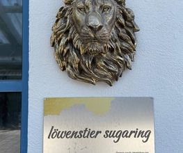löwenstier sugaring Bild 2