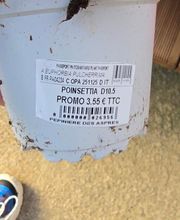 Pépinière des Aspres image 5