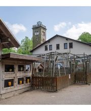 Berggasthof Butterberg Bild 8