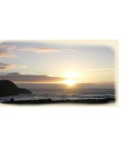 Bestattungen Stock e.K. Inh. Harald Riecker Bild 6