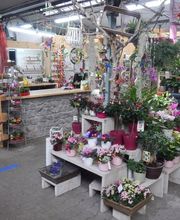 PflanzenWunder Bild 4