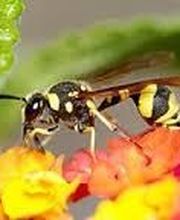 Montélimar 4D image 3