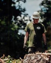 Top Tier Trees image 16