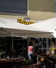 Blumen Steinhilber Weiden Bild 1