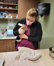 Brentwood Animal Hospital image 4