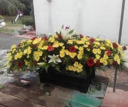Les Fleurs De Calicie image 9