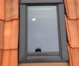 Pro Habitat image 7