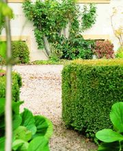 les Jardins de Benjamin Sàrl Bild 3