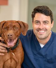 Tierarzt Heidelberg, Tierärztliches Zentrum an der Feuerwache Bild 5