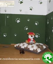 RESIDENCIA CANINA SORIA imagen 13