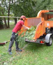 Baumpflege Fleischer Leipzig Bild 5