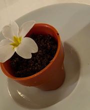 Ristorante alla Stazione Lavorgo Bild 11