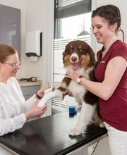 Kleintierpraxis Dr. med. vet. Barbara Rabeling Bild 11