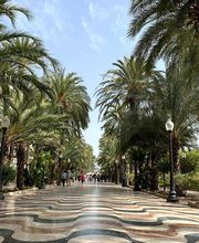 Vuelo Directo imagen 3