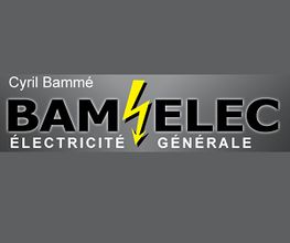 Bamelec image 2