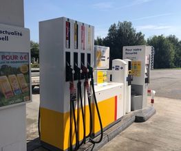Shell image 12