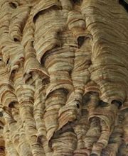 Ariège-Désinfect image 1