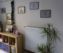 Bine's Hundestyling Bild 1