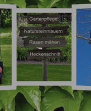 Panther Service Raci Bild 4