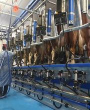 DSC Vial Sàrl Bild 11