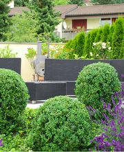 Beyeler Guido, Gartenpflege GmbH Bild 1